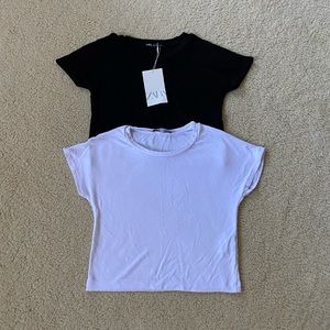 Zara NWT Black White Crop Top Sz Small